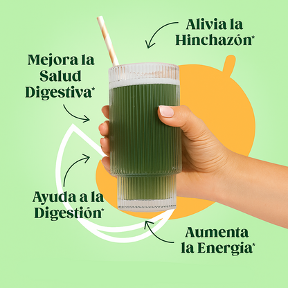 Bloom Super Alimento Transforma Tu Salud Intestinal