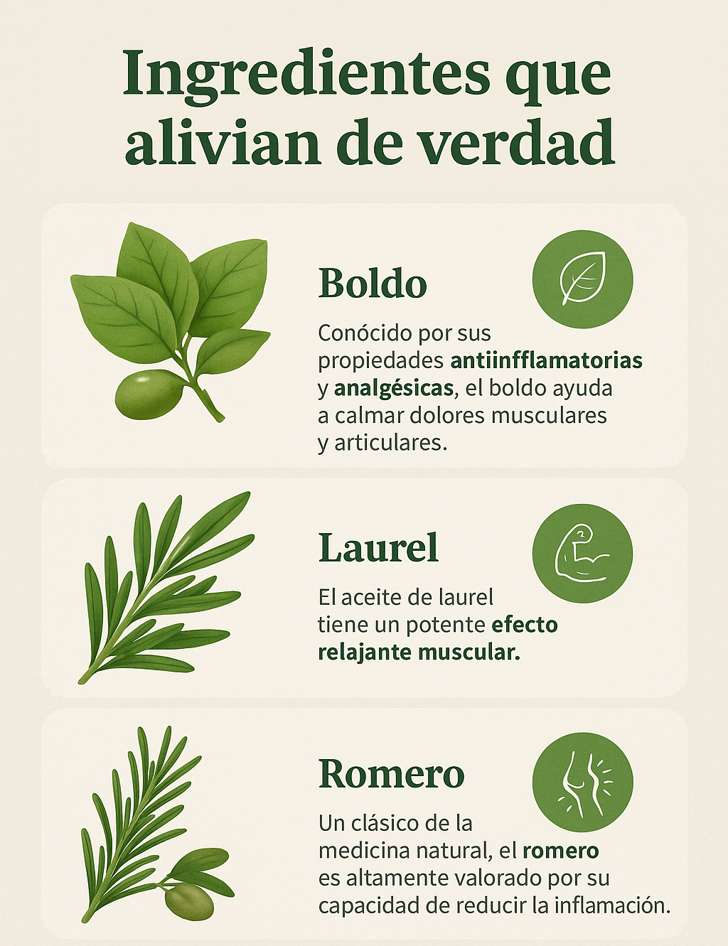 Aceite Natural para Dolores – Alivio con Plantas Medicinales