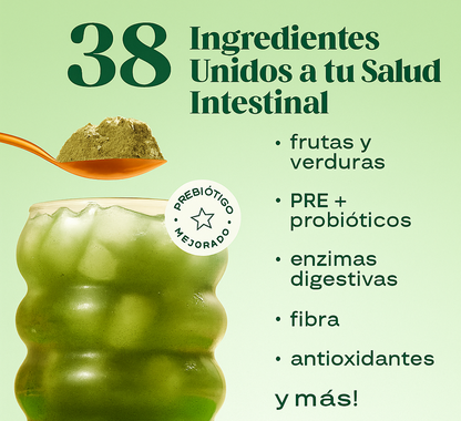 Bloom Super Alimento Transforma Tu Salud Intestinal
