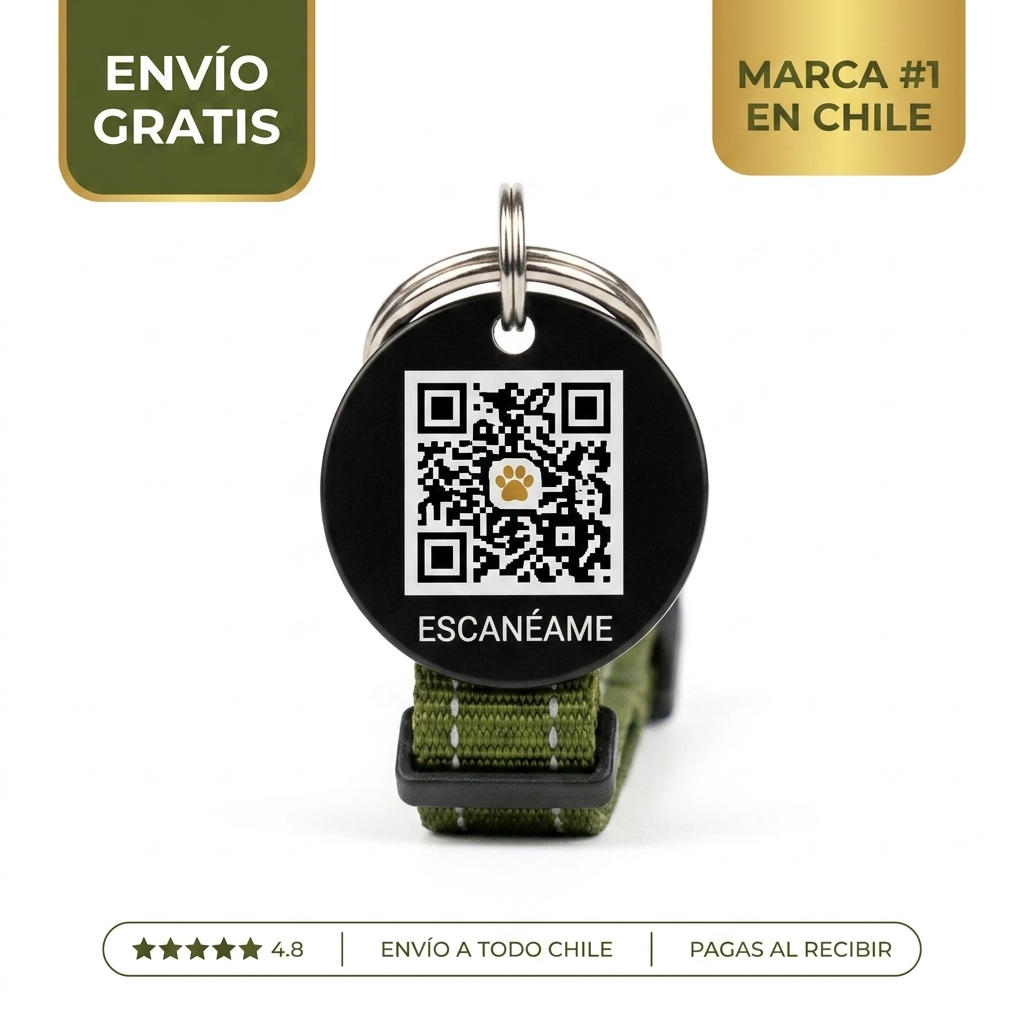 Placa QR Para Perros – Si Se Pierde, Vuelve A Casa
